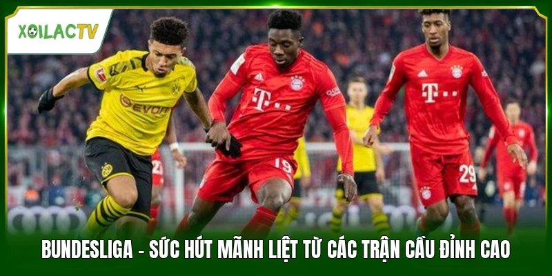 Bundesliga - Sức Hút Mãnh Liệt Từ Các Trận Cầu Đỉnh Cao